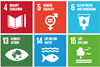 un sdgs
