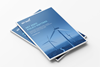 Policy_Net Zero_Policy Matters_Thumbnail_Web