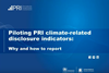 Piloting PRI climate-related disclosure indicators