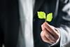 Sustainable finance