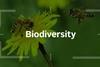 PRI-Forum_Spotlight-Climate_Biodiversity-series