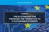 The EU Strategy for Financing the Transition to a Sustainable Economy