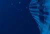 ESG_integration_in_listed_equity_thumb