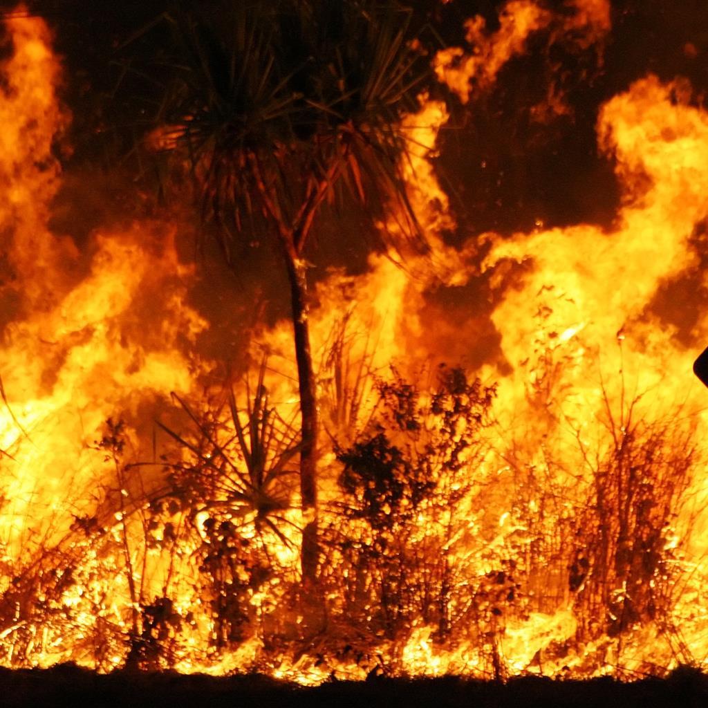 Australia’s fires bring climate emergency into stark focus | Blog post ...