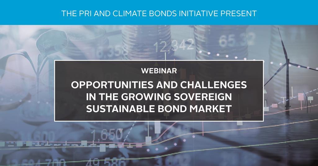 Opportunities And Challenges In The Growing Sovereign Sustainable Bond ...