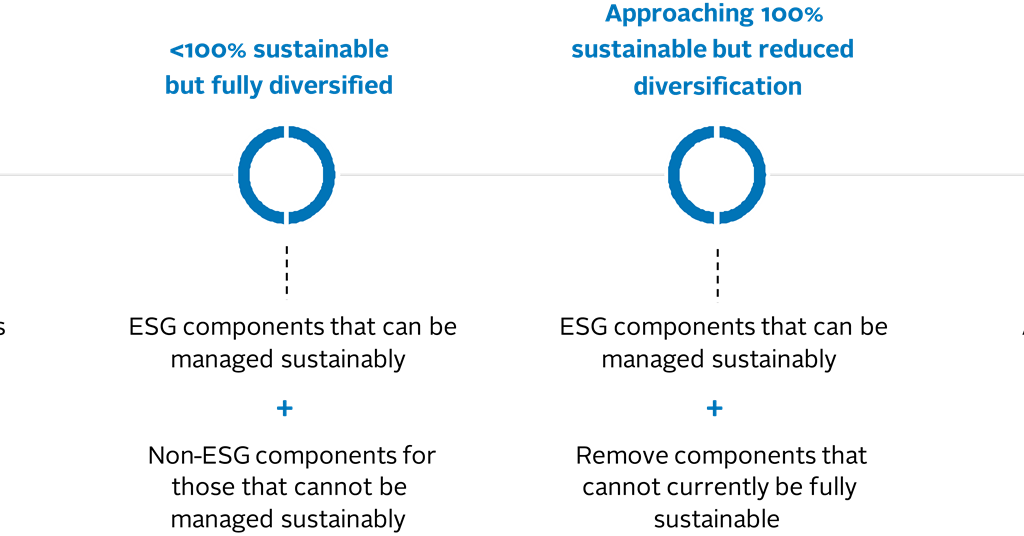 Introducing a sustainability budget to asset allocation decisions