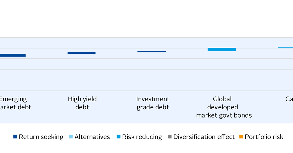 Introducing a sustainability budget to asset allocation decisions