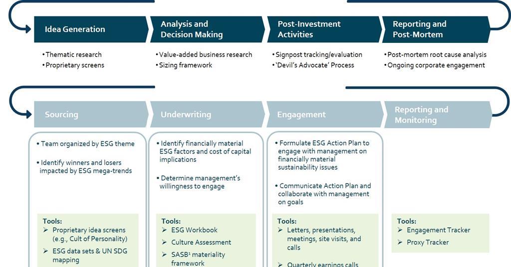 Using the SDGs to source contrarian investment opportunities | Case ...