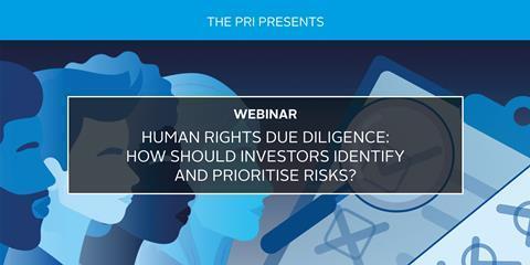 Humans Rights Risks Methods Investment Human rights due diligence: how should investors identify and ...