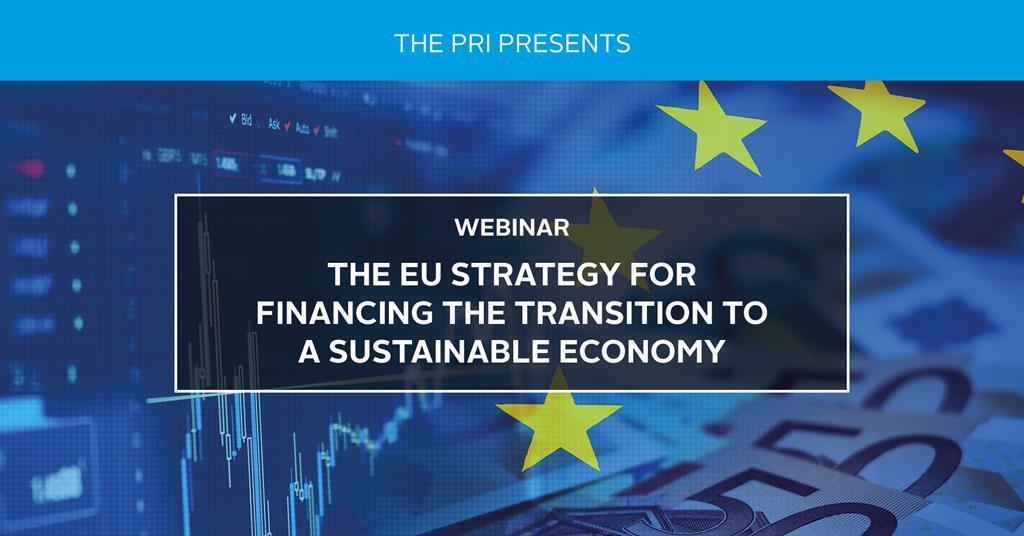 the-eu-strategy-for-financing-the-transition-to-a-sustainable-economy