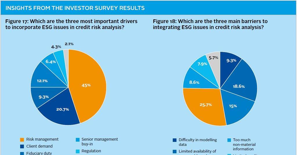 Investor Cra Disconnect 3 Organisational Approaches To Esg Reports Guides Pri