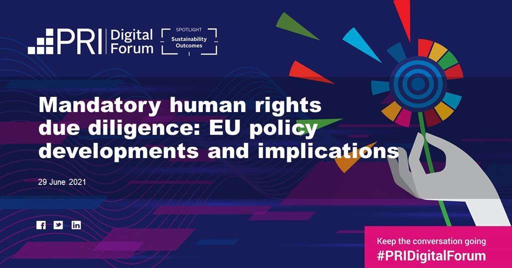 Mandory Rights Mandatory human rights due diligence: EU policy developments and ...