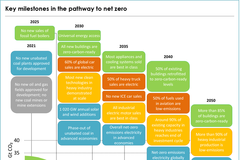Climbing the ladder to net zero emissions: from pledges to action ...