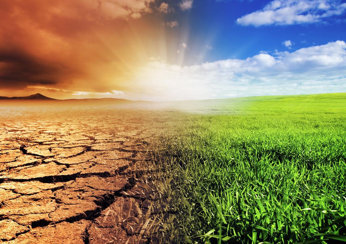 Forestry As A Climate Investment Technical Guide PRI