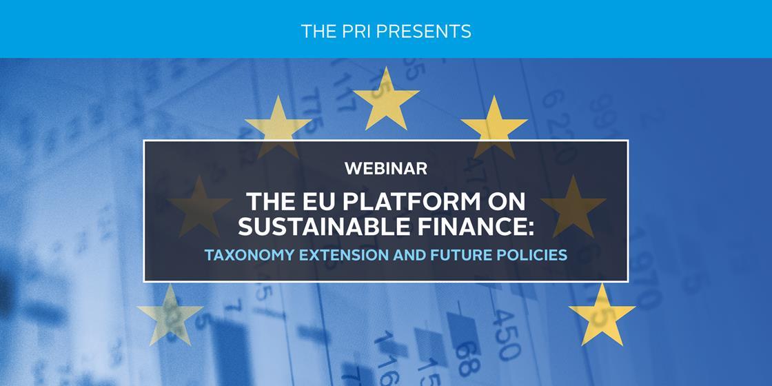 The EU Platform On Sustainable Finance: Taxonomy Extension And Future ...