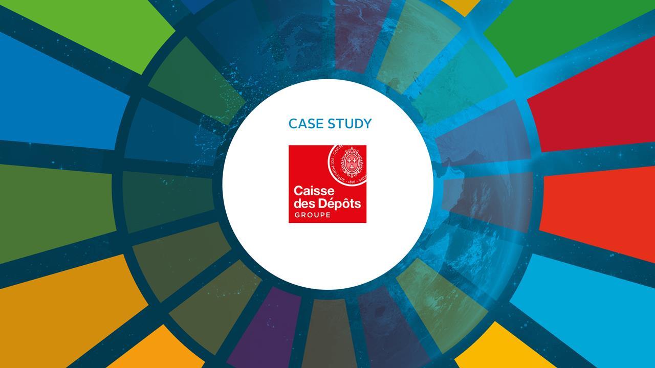 Sdg 17 case study picture