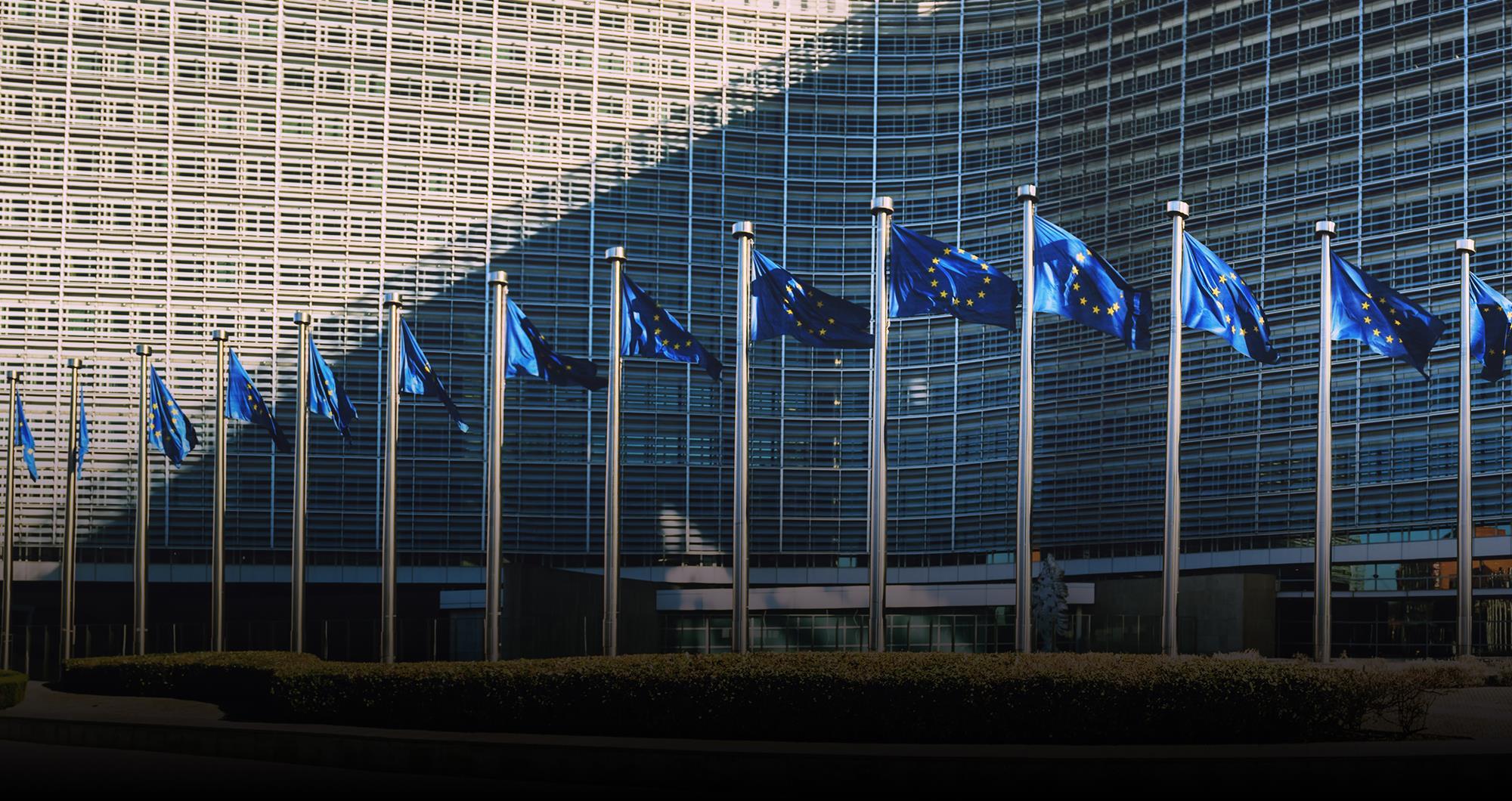 How good is good enough? Why the EU Platform on Sustainable Finance matters Blog post PRI