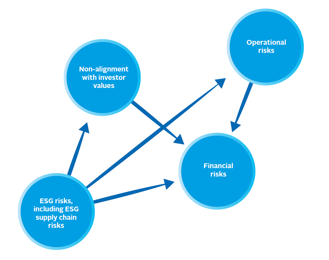 Managing Esg Risk In The Supply Chains Of Private Companies And Assets 