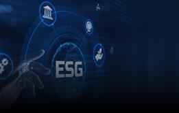 ESG factors and equity returns