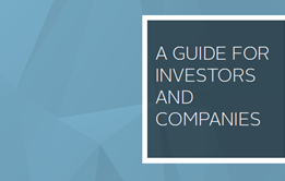 A guide for investors