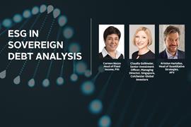 in_esg在君主债务Anaylsis_Built中