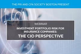 Investment Portfolio Risk for Insurance Companies-The CIO Perspective