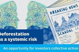 Deforestation_as_a_systemic_risk