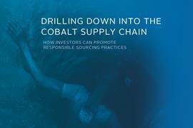 Cobalt mining