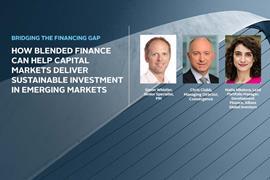 IN_Podcast_Bridging the financing gap_built-in