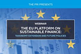 The EU Platform on Sustainable Finance - Taxonomy extension and future policies