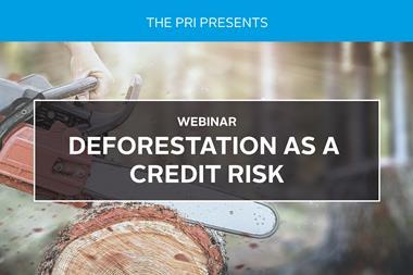 deforestation_as_a_credit_risk