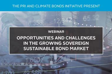 Opportunities and challenges in the growing sovereign sustainable bond market