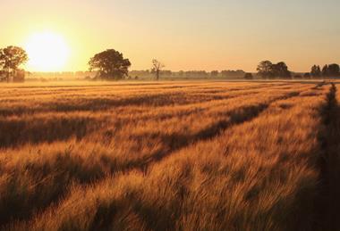 负责任的耕地覆盖投资