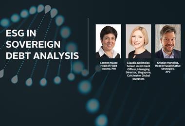 in_esg在君主债务Anaylsis_Built中