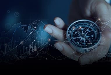 负责任投资的全球演变 - 在发展和新兴市场之间找到平衡