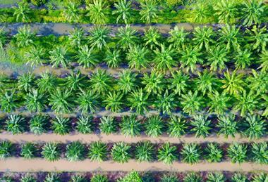 shutterstock_642532132