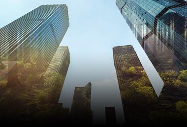 菲奥娜可持续的未来