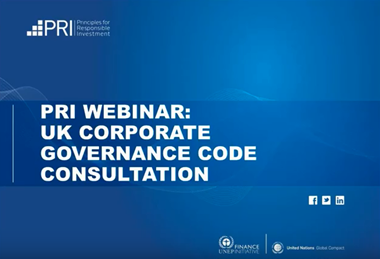 英国公司治理准则咨询