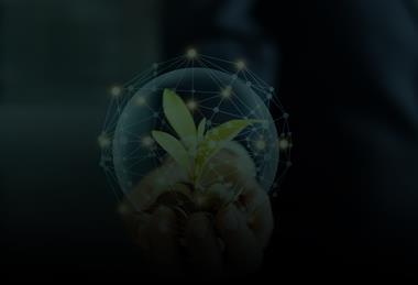 Wealth_sustainability_hero博客