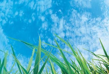 绿草发展环保127792040抄