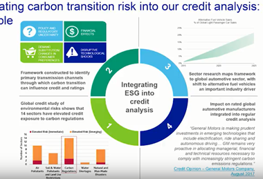 信用风险小组中的ESG