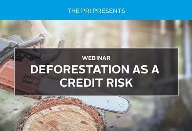 deforestation_as_a_credit_risk.