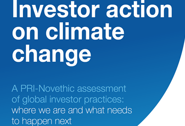 投资者对气候变化的行动:全球投资者实践的pri - novetic评估