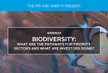 Biodiversity-What are the Pathways for Priority Sectors and What are Investors Doing