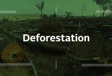 PRI-Forum_Spotlight-Climate_Deforestation-series