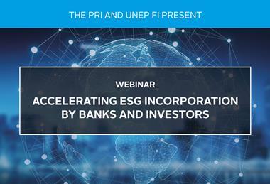 Accelerating ESG Incorporation by Banks and Investors