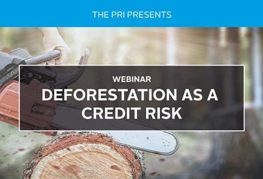 deforestation_as_a_credit_risk