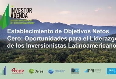 Establecimiento de objetivos netos cero - oportunidades para el liderazgo de los inversionistas latinoamericanos 