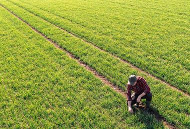 Blog 2 image - agriculture