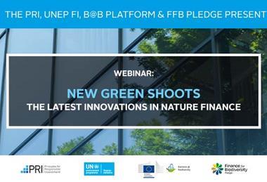 New green shoots – the latest innovations in nature finance